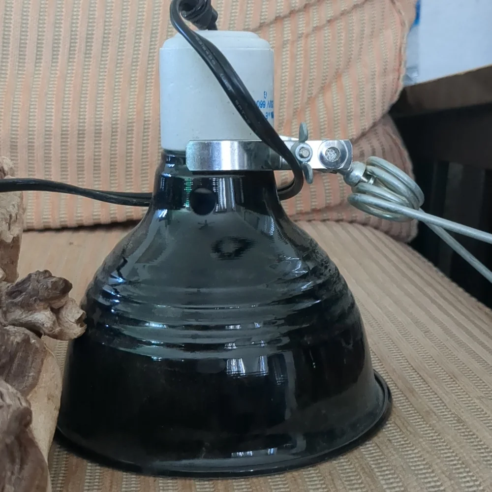 Small Reptile UVB light fixture